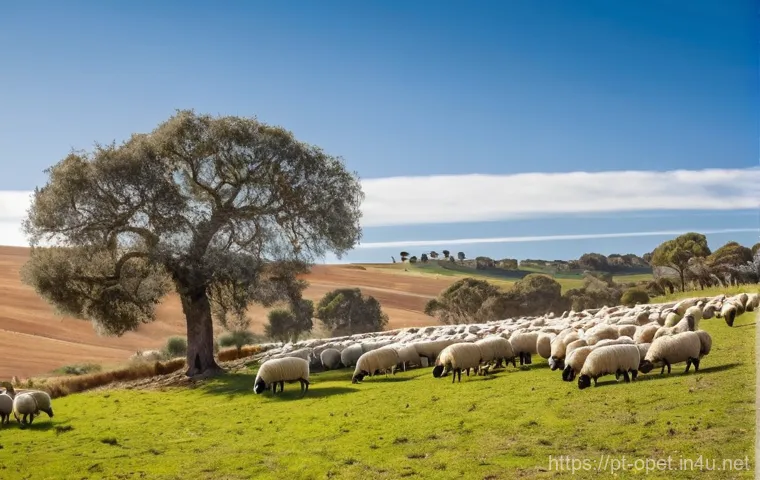 양 소규모 농장 운영법 - **Prompt for Bordaleira Serra da Estrela Sheep:**
    "A picturesque scene in the mountainous region...