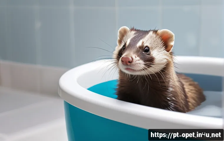 페럿 미용 방법 - A cozy indoor bathroom scene with a ferret wearing a soft diaper, gently bathed in warm water by a c...