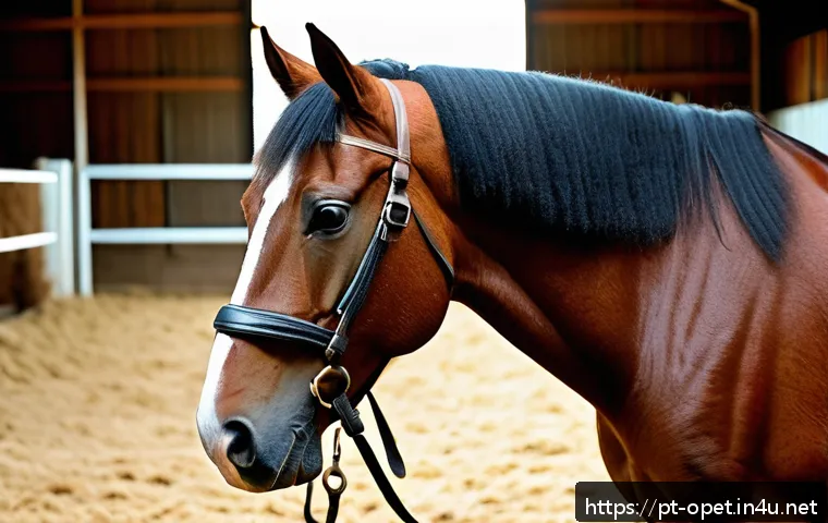 말 피부 질환 치료 - A detailed close-up of a horse’s skin showing early signs of dermatological issues such as small red...