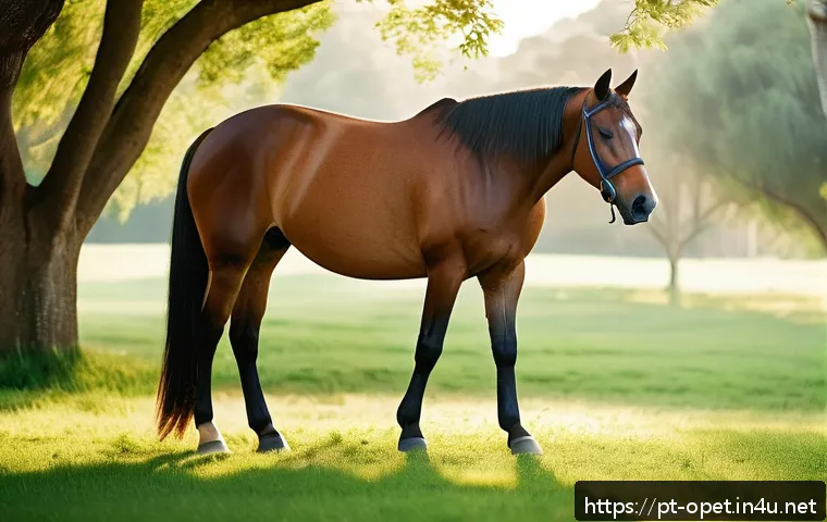 Como identificar e tratar as principais doenças de pele em cavalos: guia completo para proprietários 3 말 피부 질환 치료 관련 이미지 1