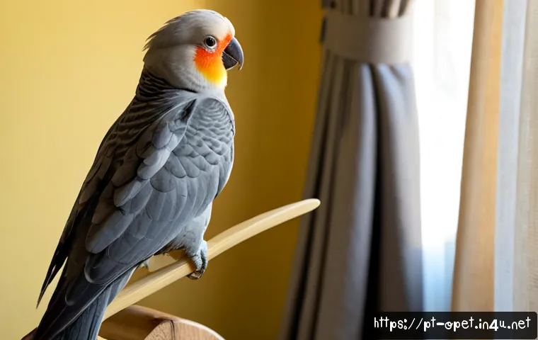 칵테일 앵무새 행동 분석 - Photorealistic cockatiel perched on a natural wooden stand in a bright Brazilian living room, crest ...