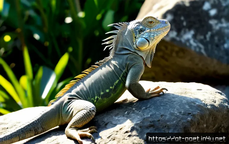 Home 17 이구아나 종별 크기 - Photorealistic wildlife comparison of a large adult green iguana and a smaller spiny-tailed iguana s...